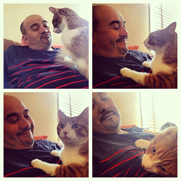 a four image collage shows Jose posed with a white and orange cat. He makes a kiss face towards the cat that sits on his belly.